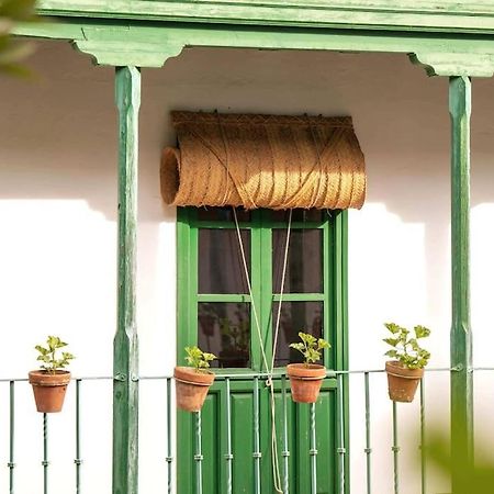Apartamento A Estrenar En Calle Alcazares Seville Exterior photo