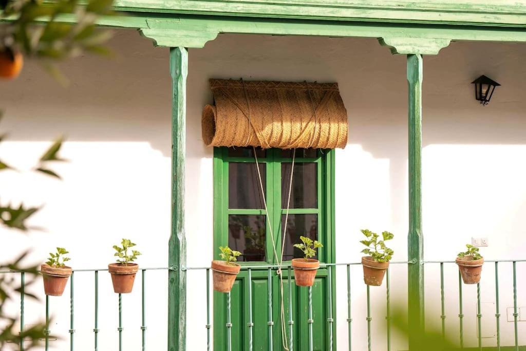 Apartamento A Estrenar En Calle Alcazares Seville Exterior photo